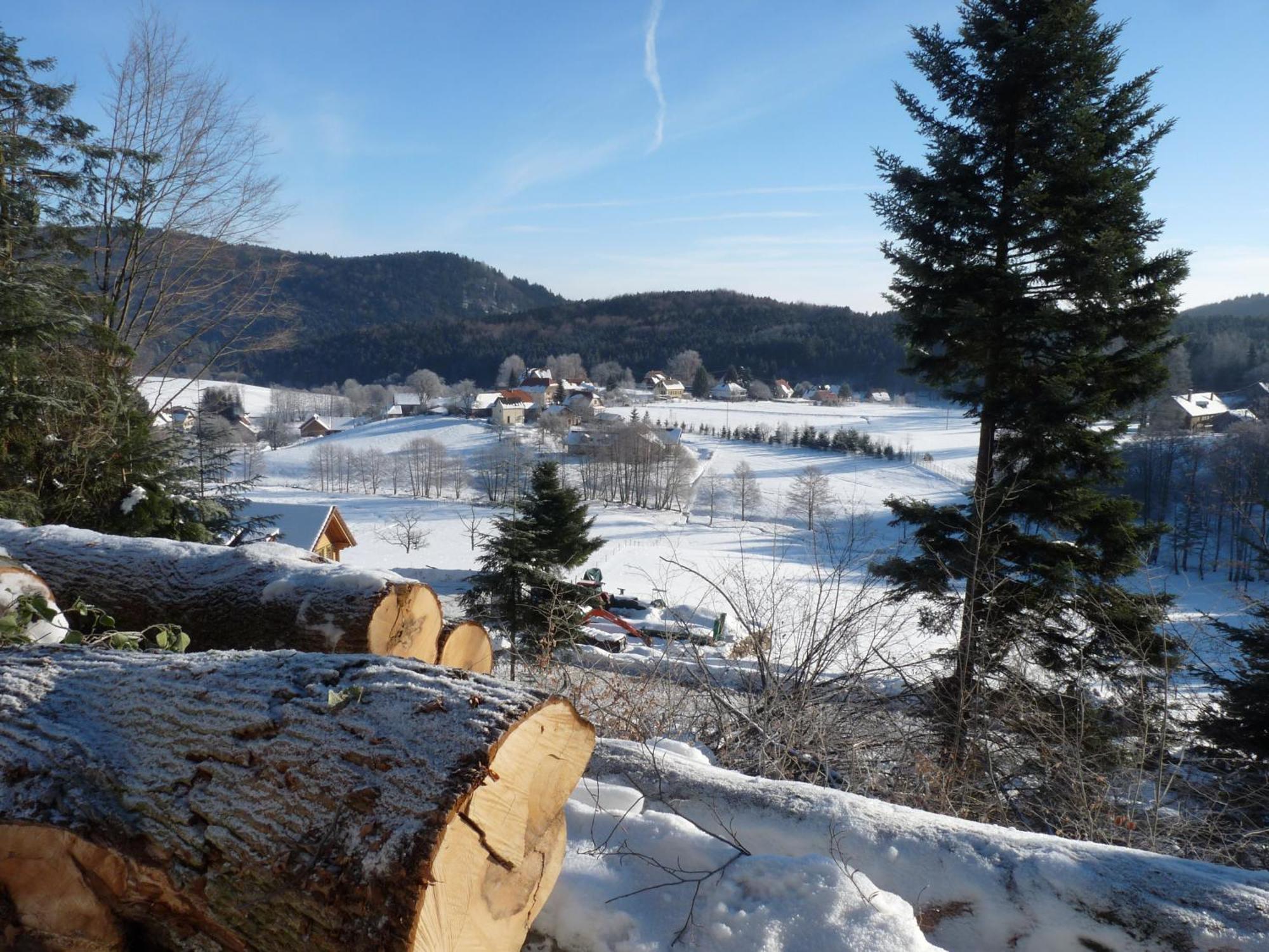 Appartement Locations Dupertuis Alsace à Le Hohwald Extérieur photo