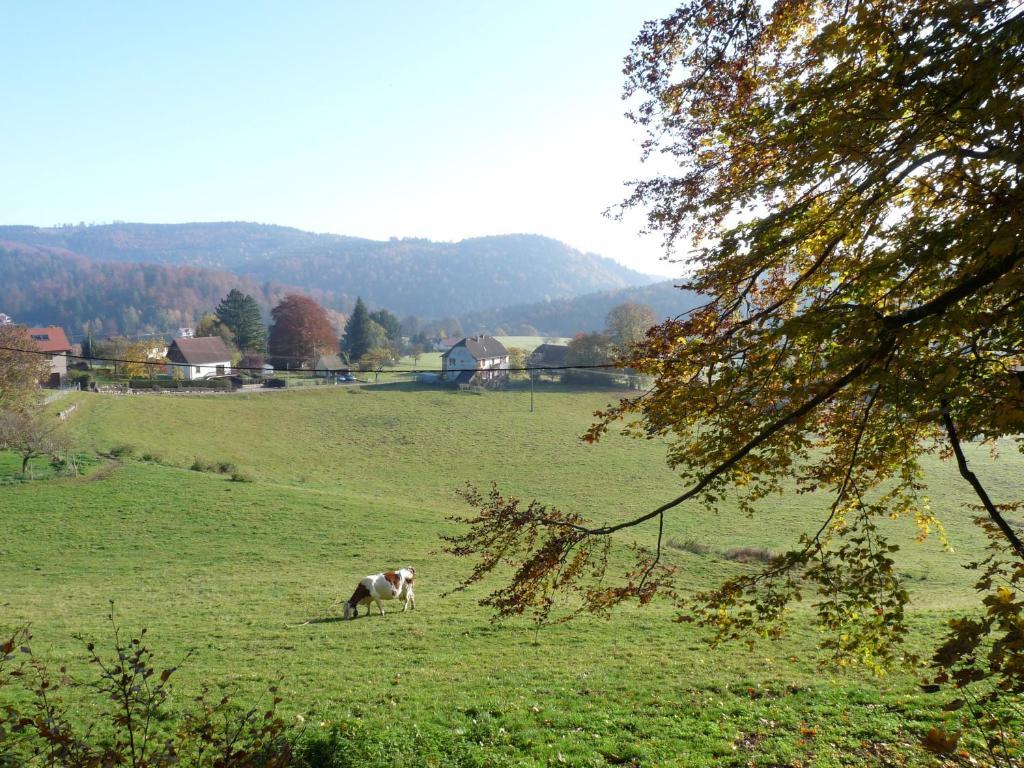 Appartement Locations Dupertuis Alsace à Le Hohwald Chambre photo