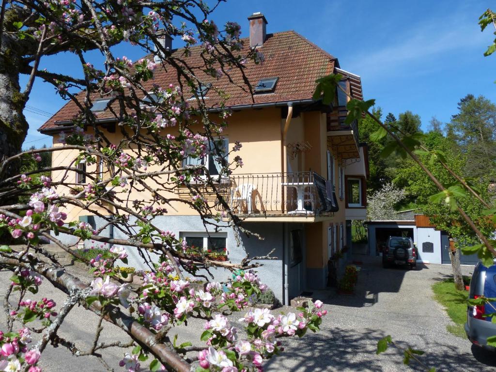 Appartement Locations Dupertuis Alsace à Le Hohwald Extérieur photo