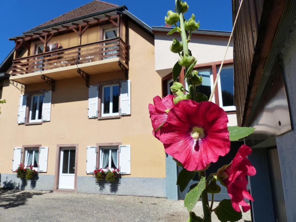 Appartement Locations Dupertuis Alsace à Le Hohwald Extérieur photo